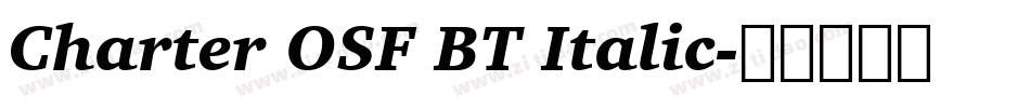 Charter OSF BT Italic字体转换